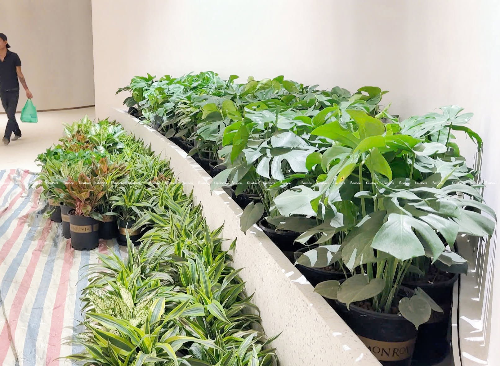 Vinatrees luôn chỉnh chu và tôn trọng tuyệt đối dành cho hạ tầng văn phòng của đối tác